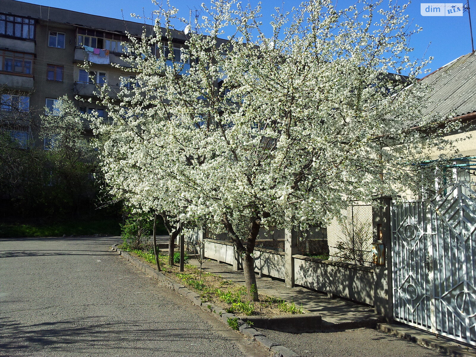 одноповерховий будинок з гаражем, 128 кв. м, цегла. Продаж в Ужгороді, район Великий Галагов фото 1 одноповерховий будинок з гаражем, 128 кв. м, цегла. Продаж в Ужгороді, район Великий Галагов фото 1