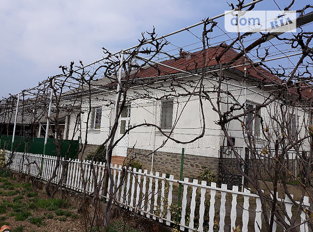 одноэтажный дом с камином, 150 кв. м, кирпич саманный. Продажа в Ярке (Закарпатская обл.) фото 1 одноэтажный дом с камином, 150 кв. м, кирпич саманный. Продажа в Ярке (Закарпатская обл.) фото 1