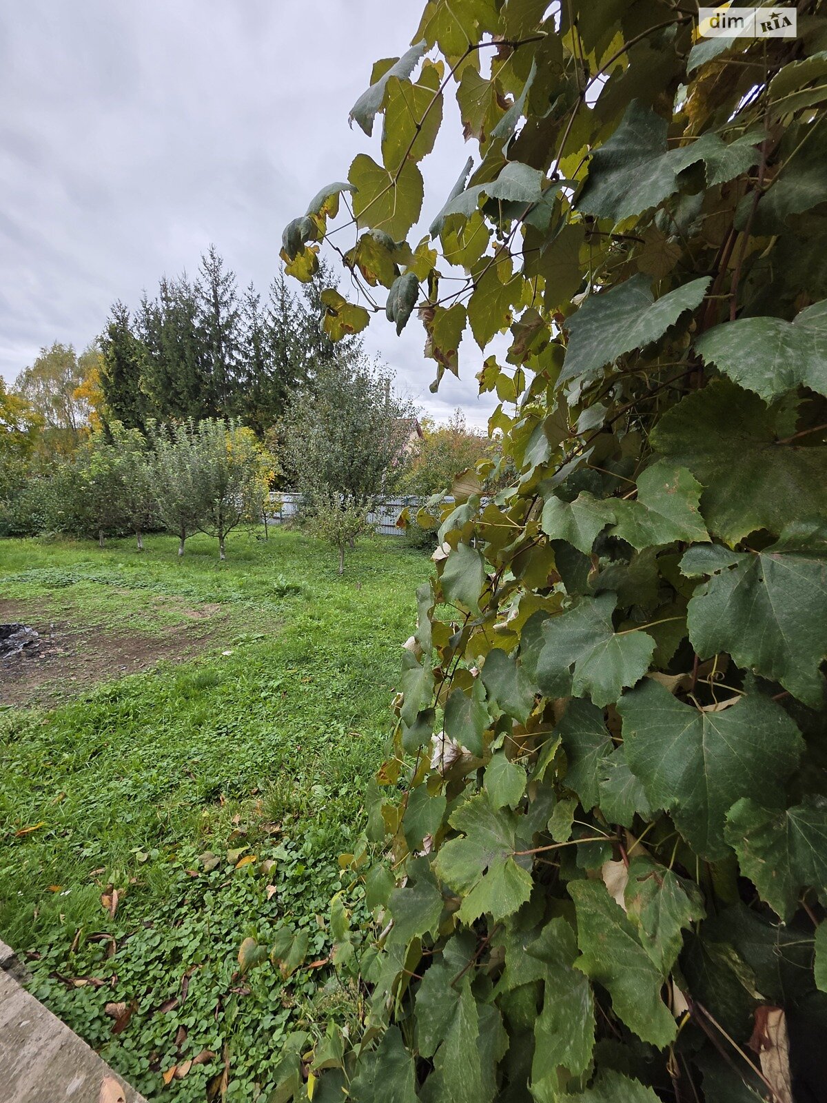 двоповерховий будинок бесідка, 90.5 кв. м, цегла. Продаж у Оноківцях фото 1 двоповерховий будинок бесідка, 90.5 кв. м, цегла. Продаж у Оноківцях фото 1