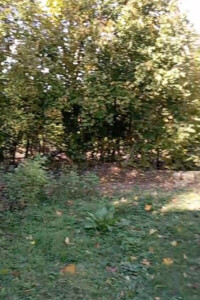 одноповерховий будинок з верандою, 54.4 кв. м, цегла. Продаж у Устечку фото 2