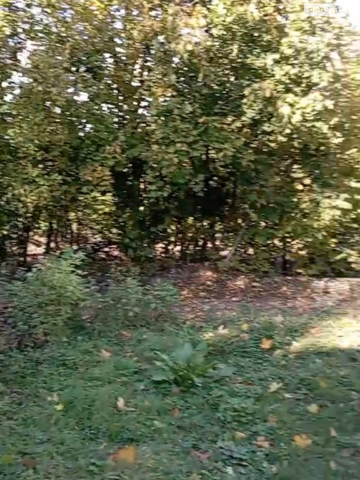 одноповерховий будинок з верандою, 54.4 кв. м, цегла. Продаж у Устечку фото 1