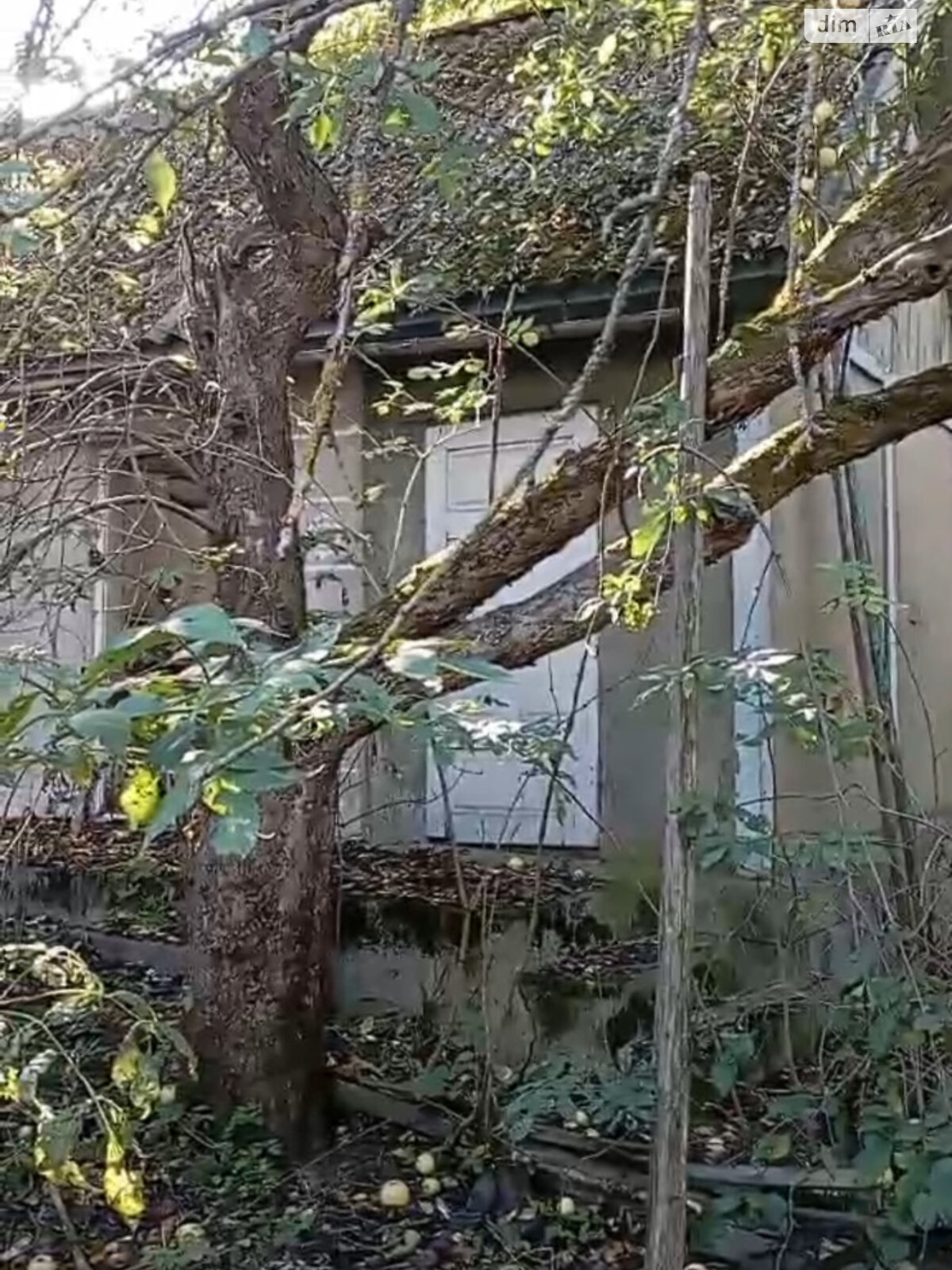 одноповерховий будинок з верандою, 54.4 кв. м, цегла. Продаж у Устечку фото 1