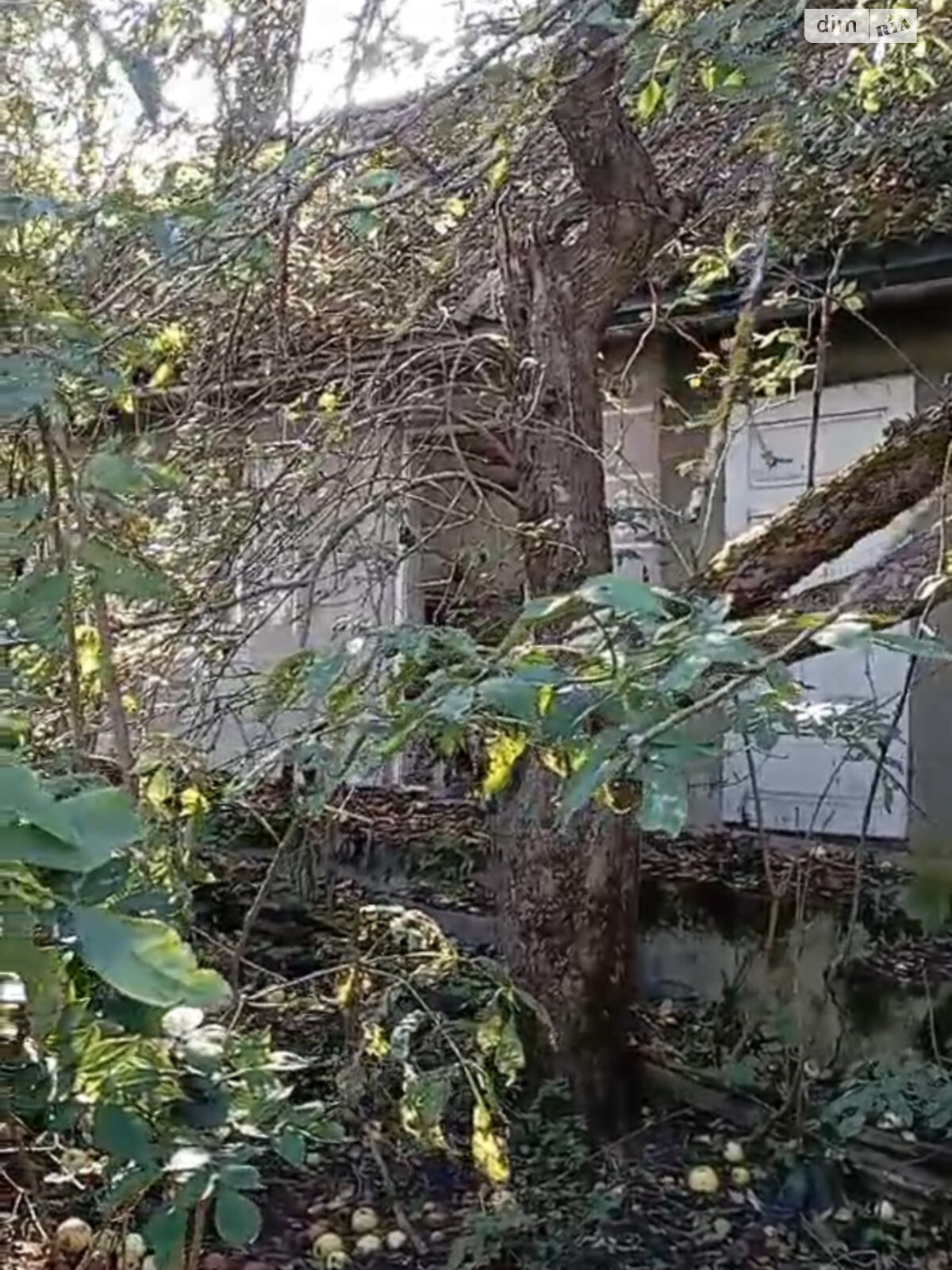 одноповерховий будинок з верандою, 54.4 кв. м, цегла. Продаж у Устечку фото 1