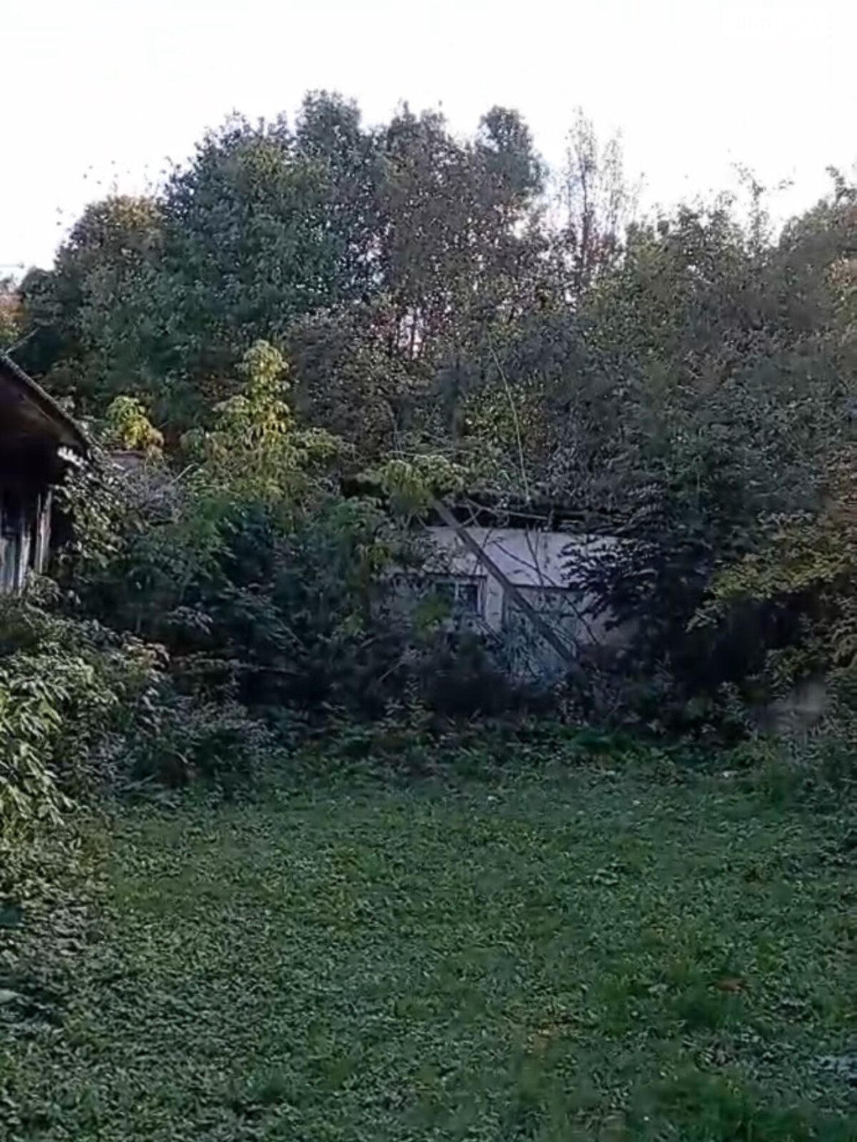 одноповерховий будинок з верандою, 54.4 кв. м, цегла. Продаж у Устечку фото 1