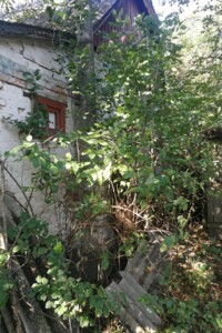 одноэтажный дом, 70 кв. м, кирпич. Продажа в Устимовке фото 2