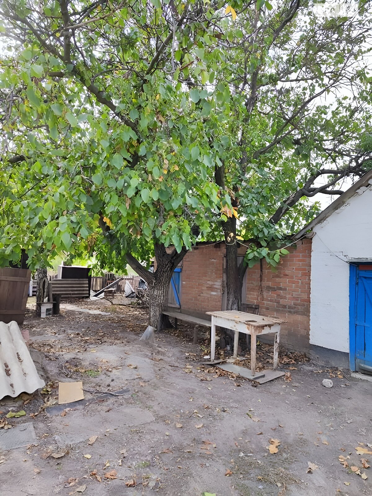 одноэтажный дом с отоплением, 50 кв. м, ракушечник (ракушняк). Продажа в Устиновке фото 1 одноэтажный дом с отоплением, 50 кв. м, ракушечник (ракушняк). Продажа в Устиновке фото 1