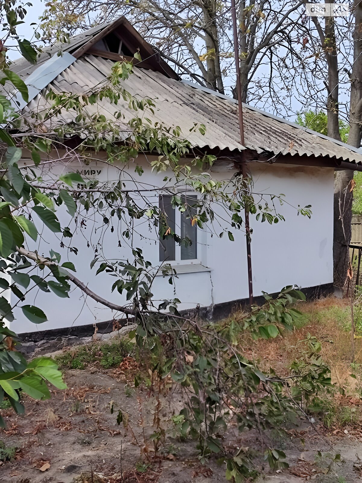 одноэтажный дом с отоплением, 50 кв. м, ракушечник (ракушняк). Продажа в Устиновке фото 1 одноэтажный дом с отоплением, 50 кв. м, ракушечник (ракушняк). Продажа в Устиновке фото 1