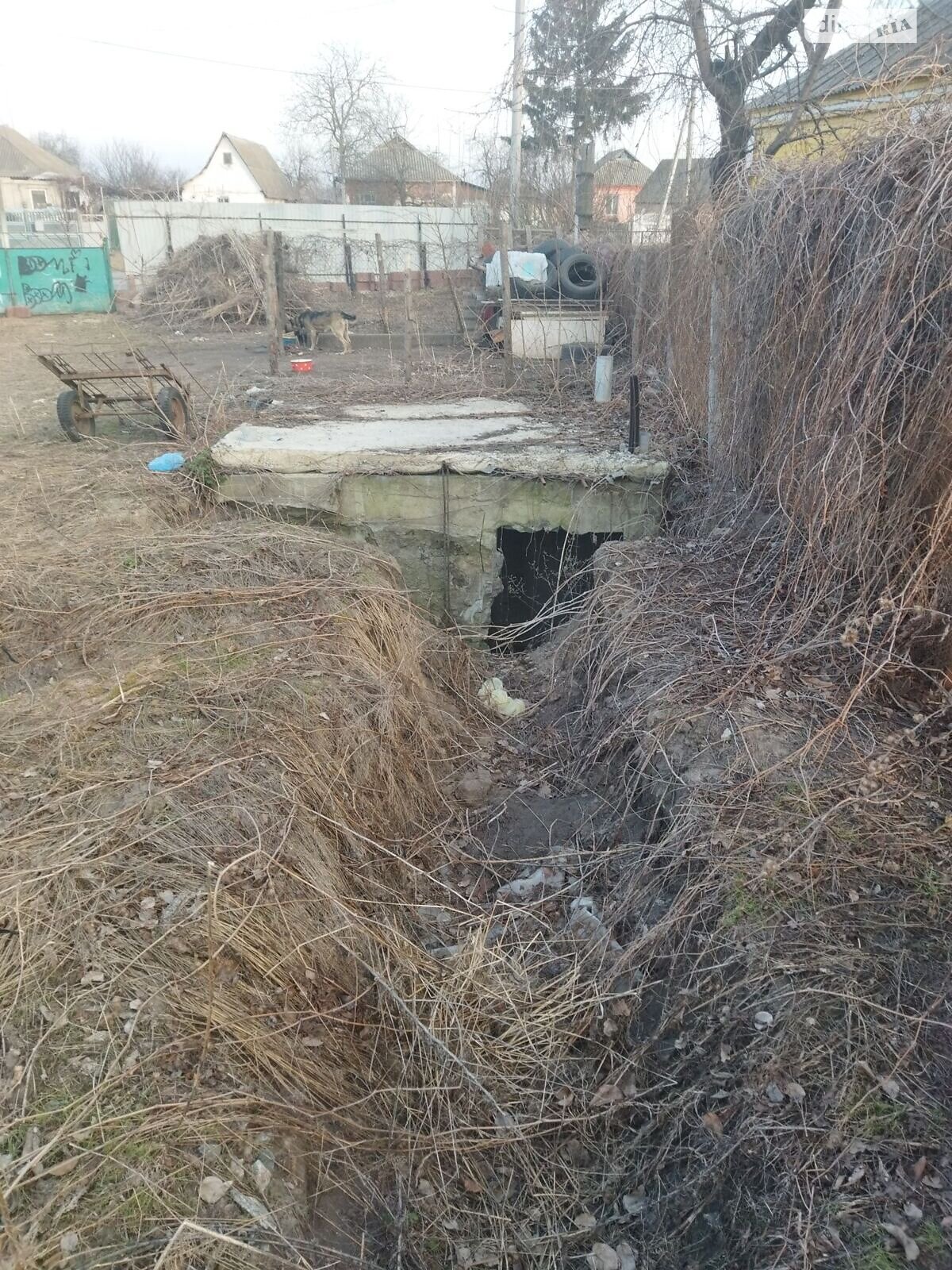 одноповерховий будинок, 86 кв. м, цегла. Продаж у Узині фото 1 одноповерховий будинок, 86 кв. м, цегла. Продаж у Узині фото 1