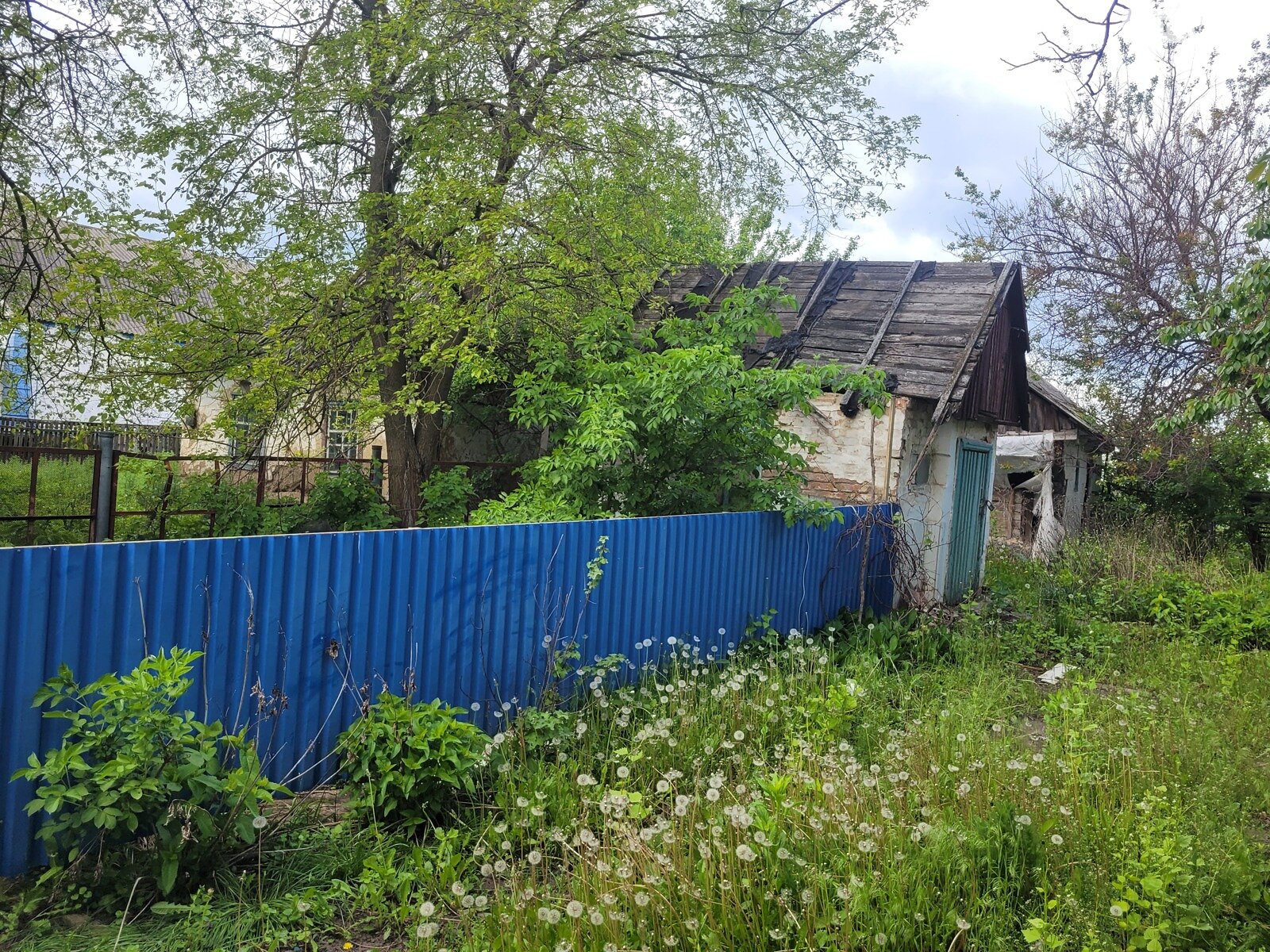 одноповерховий будинок, 78 кв. м, цегла. Продаж у Узині фото 1 одноповерховий будинок, 78 кв. м, цегла. Продаж у Узині фото 1