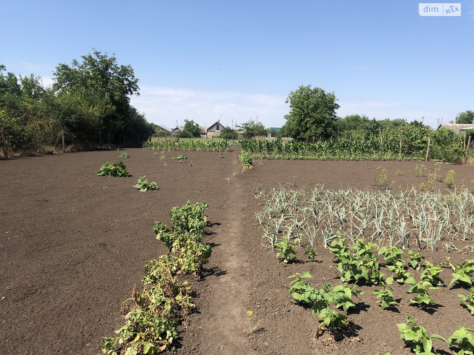 одноповерховий будинок з гаражем, 71.7 кв. м, ракушняк. Продаж у Вакулівці фото 1 одноповерховий будинок з гаражем, 71.7 кв. м, ракушняк. Продаж у Вакулівці фото 1