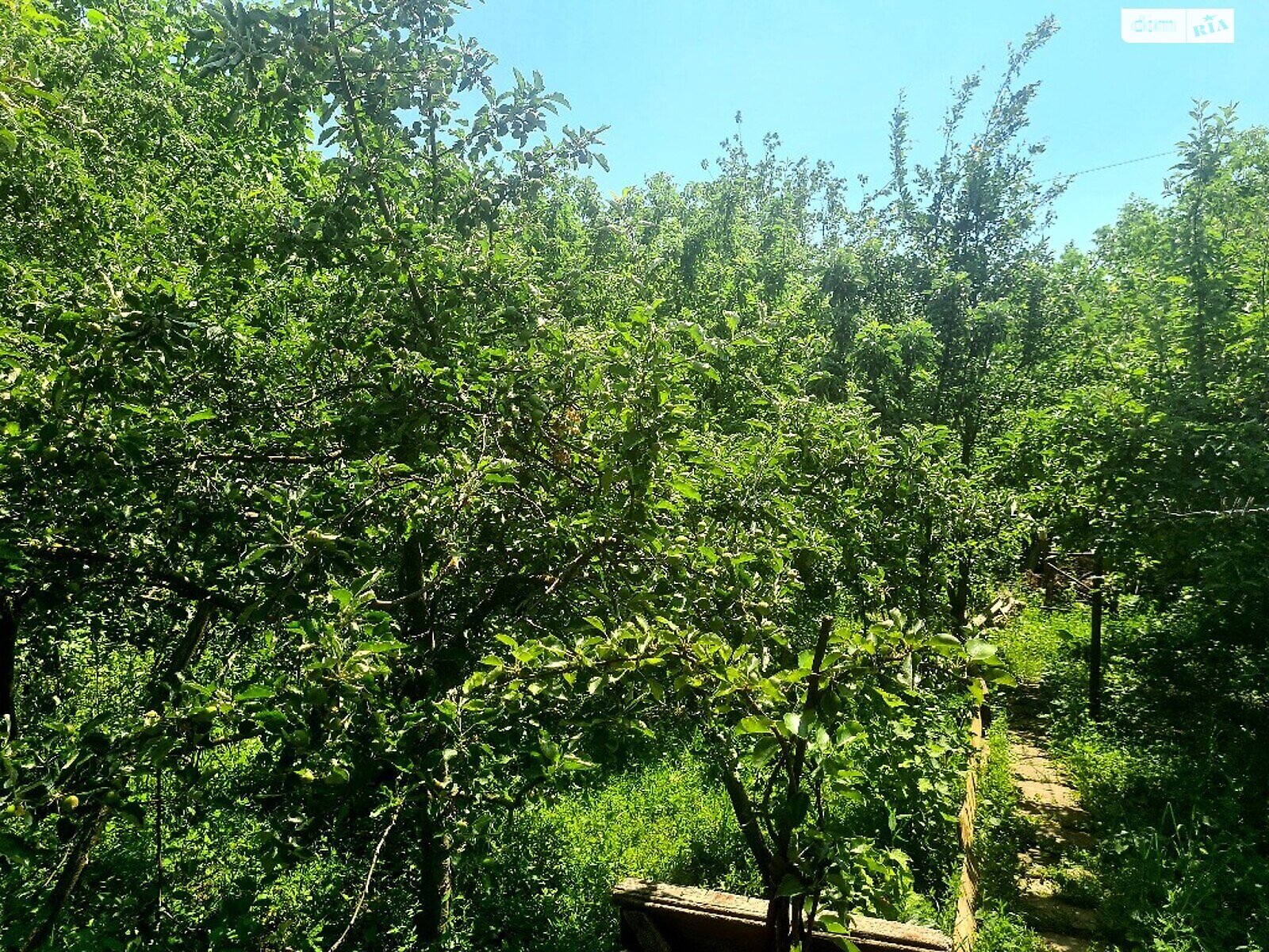 двоповерховий будинок з гаражем, 200 кв. м, цегла. Продаж у Вапнярці фото 1 двоповерховий будинок з гаражем, 200 кв. м, цегла. Продаж у Вапнярці фото 1