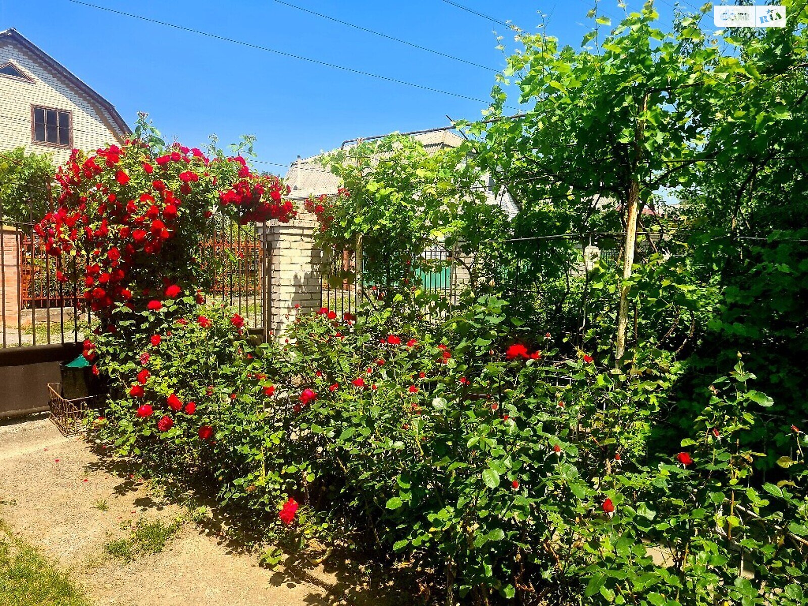 двоповерховий будинок з гаражем, 200 кв. м, цегла. Продаж у Вапнярці фото 1 двоповерховий будинок з гаражем, 200 кв. м, цегла. Продаж у Вапнярці фото 1