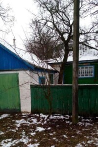 одноповерховий будинок з гаражем, 83.3 кв. м, дерево та цегла. Продаж у Варві фото 2