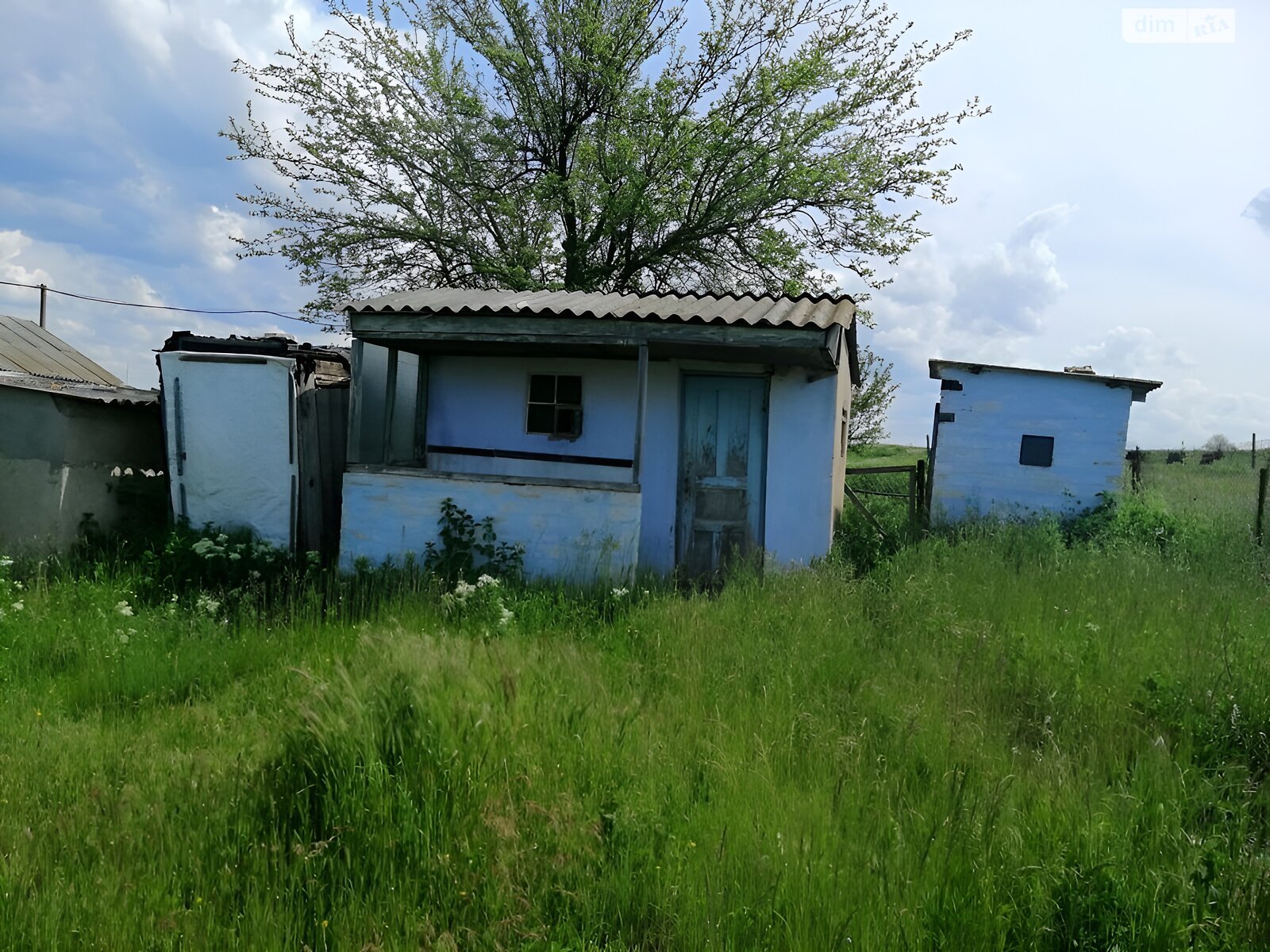 одноэтажный дом, 52.5 кв. м, ракушечник (ракушняк). Продажа в Васильевке фото 1 одноэтажный дом, 52.5 кв. м, ракушечник (ракушняк). Продажа в Васильевке фото 1
