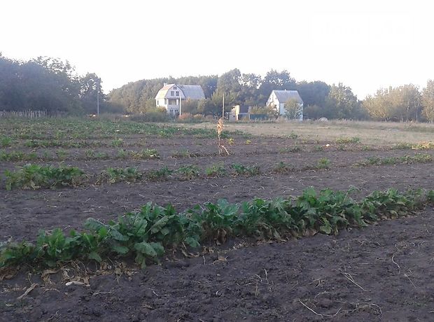 триповерховий будинок з каміном, 255 кв. м, цегла. Продаж в Барахти (Київська обл.) фото 1 триповерховий будинок з каміном, 255 кв. м, цегла. Продаж в Барахти (Київська обл.) фото 1