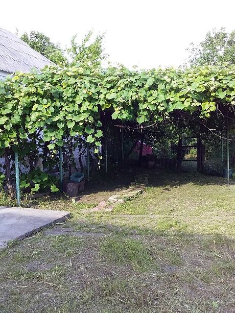 одноповерховий будинок з садом, 59.2 кв. м, цегла. Продаж в Барахти (Київська обл.) фото 1 одноповерховий будинок з садом, 59.2 кв. м, цегла. Продаж в Барахти (Київська обл.) фото 1