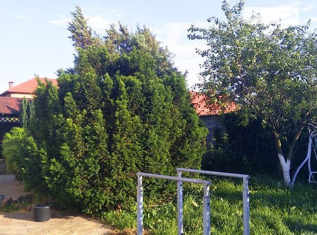 триповерховий будинок з каміном, 275 кв. м, цегла. Продаж в Глевасі (Київська обл.) фото 1 триповерховий будинок з каміном, 275 кв. м, цегла. Продаж в Глевасі (Київська обл.) фото 1