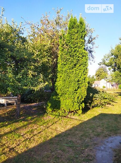 одноповерховий будинок з садом, 132 кв. м, цегла. Продаж в Гребінках (Київська обл.) фото 1 одноповерховий будинок з садом, 132 кв. м, цегла. Продаж в Гребінках (Київська обл.) фото 1