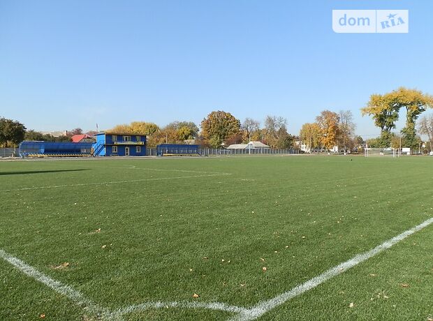 одноповерховий будинок з садом, 132 кв. м, цегла. Продаж в Гребінках (Київська обл.) фото 1 одноповерховий будинок з садом, 132 кв. м, цегла. Продаж в Гребінках (Київська обл.) фото 1