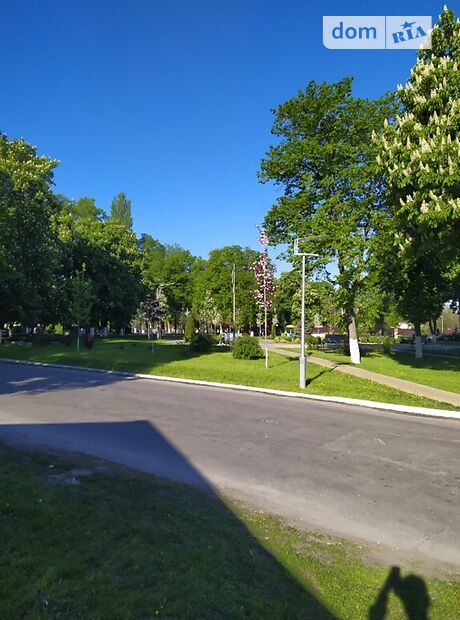 одноповерховий будинок з садом, 132 кв. м, цегла. Продаж в Гребінках (Київська обл.) фото 1 одноповерховий будинок з садом, 132 кв. м, цегла. Продаж в Гребінках (Київська обл.) фото 1