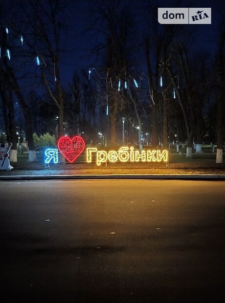 одноповерховий будинок з садом, 132 кв. м, цегла. Продаж в Гребінках (Київська обл.) фото 1 одноповерховий будинок з садом, 132 кв. м, цегла. Продаж в Гребінках (Київська обл.) фото 1