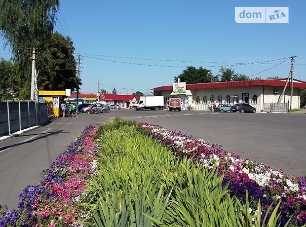 одноповерховий будинок з садом, 132 кв. м, цегла. Продаж в Гребінках (Київська обл.) фото 1 одноповерховий будинок з садом, 132 кв. м, цегла. Продаж в Гребінках (Київська обл.) фото 1