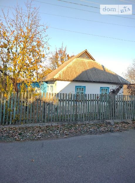 одноповерховий будинок з садом, 67.1 кв. м, глинобитний. Продаж в Гребінках (Київська обл.) фото 1 одноповерховий будинок з садом, 67.1 кв. м, глинобитний. Продаж в Гребінках (Київська обл.) фото 1