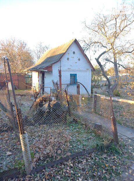 одноповерховий будинок з садом, 67.1 кв. м, глинобитний. Продаж в Гребінках (Київська обл.) фото 1 одноповерховий будинок з садом, 67.1 кв. м, глинобитний. Продаж в Гребінках (Київська обл.) фото 1