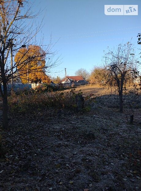 одноповерховий будинок з садом, 67.1 кв. м, глинобитний. Продаж в Гребінках (Київська обл.) фото 1 одноповерховий будинок з садом, 67.1 кв. м, глинобитний. Продаж в Гребінках (Київська обл.) фото 1