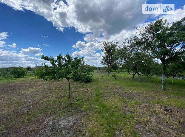 одноповерховий будинок з садом, 82.4 кв. м, цегла. Продаж в Гребінках (Київська обл.) фото 1 одноповерховий будинок з садом, 82.4 кв. м, цегла. Продаж в Гребінках (Київська обл.) фото 1