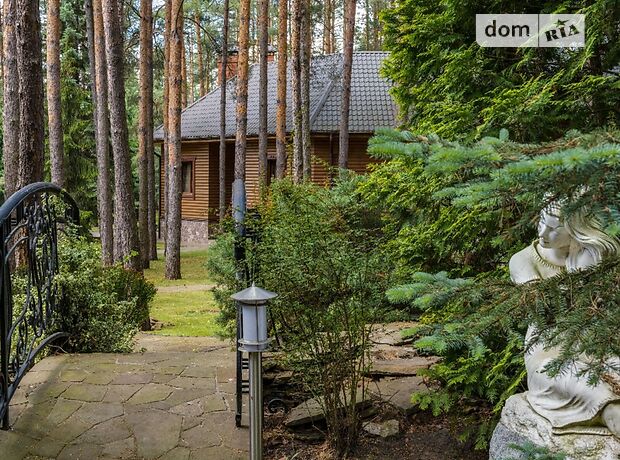 двоповерховий будинок з каміном, 350 кв. м, цегла. Продаж в Хлепчі (Київська обл.) фото 1 двоповерховий будинок з каміном, 350 кв. м, цегла. Продаж в Хлепчі (Київська обл.) фото 1