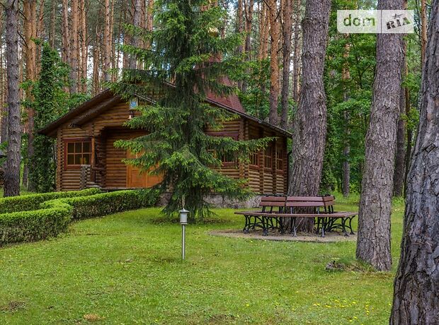 двоповерховий будинок з каміном, 350 кв. м, цегла. Продаж в Хлепчі (Київська обл.) фото 1 двоповерховий будинок з каміном, 350 кв. м, цегла. Продаж в Хлепчі (Київська обл.) фото 1