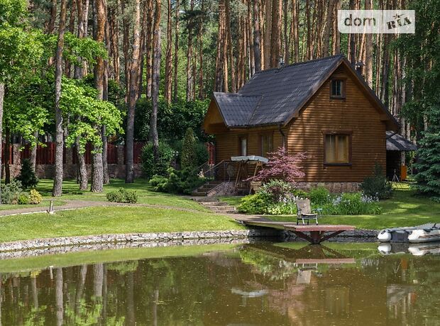 двоповерховий будинок з каміном, 350 кв. м, цегла. Продаж в Хлепчі (Київська обл.) фото 1 двоповерховий будинок з каміном, 350 кв. м, цегла. Продаж в Хлепчі (Київська обл.) фото 1