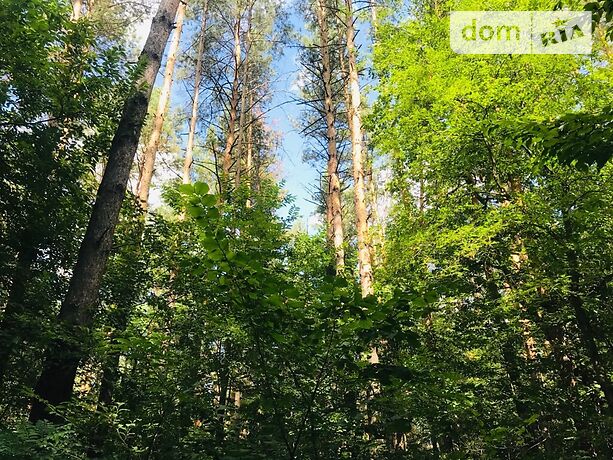 двоповерховий будинок з терасою, 695 кв. м, цегла. Продаж в Іванковичах (Київська обл.) фото 1 двоповерховий будинок з терасою, 695 кв. м, цегла. Продаж в Іванковичах (Київська обл.) фото 1