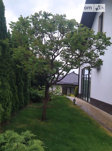 двоповерховий будинок з каміном, 310 кв. м, цегла. Продаж в Іванковичах (Київська обл.) фото 1 двоповерховий будинок з каміном, 310 кв. м, цегла. Продаж в Іванковичах (Київська обл.) фото 1