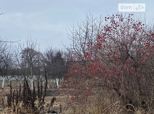одноповерховий будинок з садом, 90 кв. м, дерево та цегла. Продаж в Ковалівці (Київська обл.) фото 1 одноповерховий будинок з садом, 90 кв. м, дерево та цегла. Продаж в Ковалівці (Київська обл.) фото 1