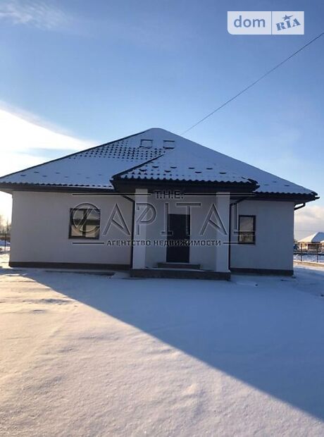 двоповерховий будинок з каміном, 165 кв. м, цегла. Продаж в Крушинці (Київська обл.) фото 1 двоповерховий будинок з каміном, 165 кв. м, цегла. Продаж в Крушинці (Київська обл.) фото 1