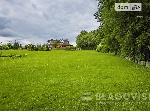 двоповерховий будинок з каміном, 780 кв. м, цегла. Продаж в Крушинці (Київська обл.) фото 1 двоповерховий будинок з каміном, 780 кв. м, цегла. Продаж в Крушинці (Київська обл.) фото 1