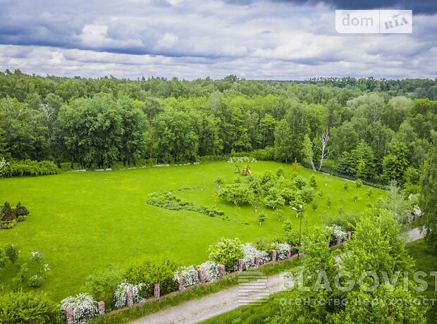 двоповерховий будинок з каміном, 780 кв. м, цегла. Продаж в Крушинці (Київська обл.) фото 1 двоповерховий будинок з каміном, 780 кв. м, цегла. Продаж в Крушинці (Київська обл.) фото 1