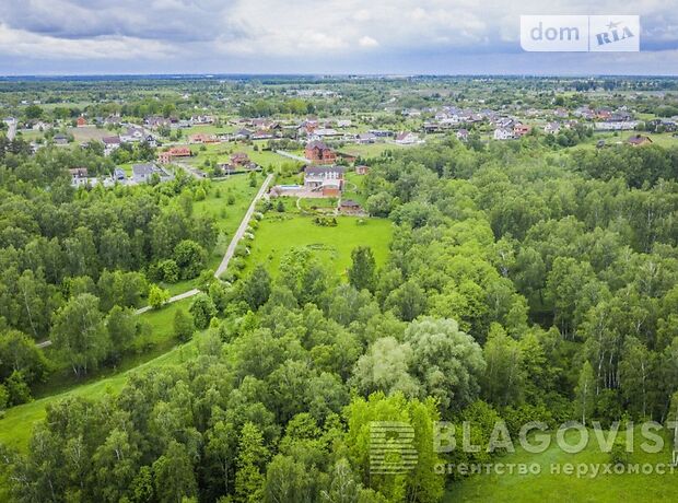 двоповерховий будинок з каміном, 780 кв. м, цегла. Продаж в Крушинці (Київська обл.) фото 1 двоповерховий будинок з каміном, 780 кв. м, цегла. Продаж в Крушинці (Київська обл.) фото 1