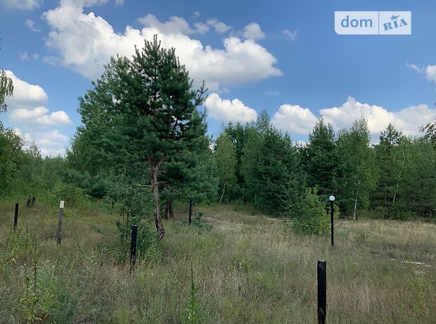 двоповерховий будинок з каміном, 340 кв. м, газобетон. Продаж в Крушинці (Київська обл.) фото 1 двоповерховий будинок з каміном, 340 кв. м, газобетон. Продаж в Крушинці (Київська обл.) фото 1