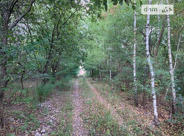 двоповерховий будинок з каміном, 340 кв. м, газобетон. Продаж в Крушинці (Київська обл.) фото 1 двоповерховий будинок з каміном, 340 кв. м, газобетон. Продаж в Крушинці (Київська обл.) фото 1