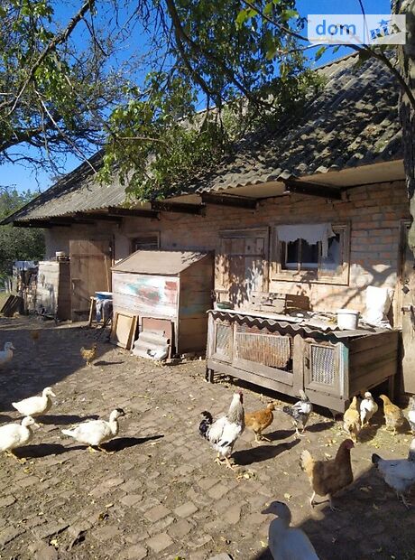 одноповерховий будинок з садом, 84 кв. м, кирпич. Продаж в Лосятині (Київська обл.) фото 1 одноповерховий будинок з садом, 84 кв. м, кирпич. Продаж в Лосятині (Київська обл.) фото 1