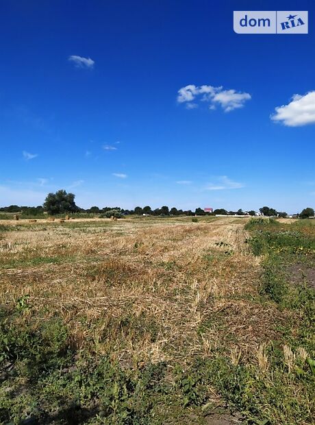 одноповерховий будинок з садом, 84 кв. м, кирпич. Продаж в Лосятині (Київська обл.) фото 1 одноповерховий будинок з садом, 84 кв. м, кирпич. Продаж в Лосятині (Київська обл.) фото 1