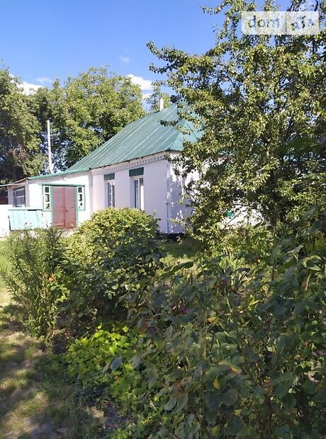 одноповерховий будинок з садом, 84 кв. м, кирпич. Продаж в Лосятині (Київська обл.) фото 1 одноповерховий будинок з садом, 84 кв. м, кирпич. Продаж в Лосятині (Київська обл.) фото 1