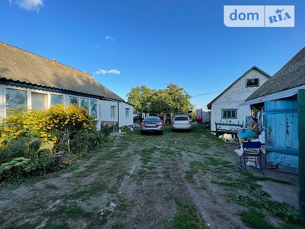 одноповерховий будинок з садом, 70 кв. м, цегла. Продаж в Вільшанській Новоселиці (Київська обл.) фото 1 одноповерховий будинок з садом, 70 кв. м, цегла. Продаж в Вільшанській Новоселиці (Київська обл.) фото 1