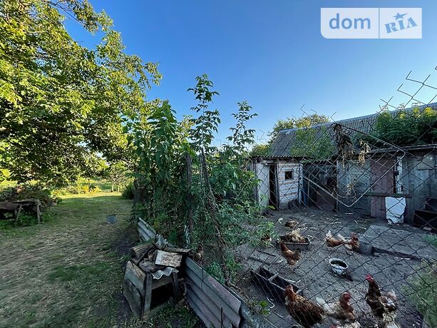 одноповерховий будинок з садом, 70 кв. м, цегла. Продаж в Вільшанській Новоселиці (Київська обл.) фото 1 одноповерховий будинок з садом, 70 кв. м, цегла. Продаж в Вільшанській Новоселиці (Київська обл.) фото 1