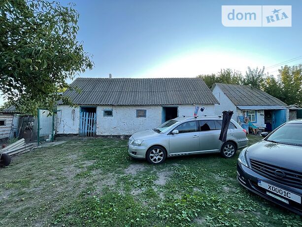 одноповерховий будинок з садом, 70 кв. м, цегла. Продаж в Вільшанській Новоселиці (Київська обл.) фото 1 одноповерховий будинок з садом, 70 кв. м, цегла. Продаж в Вільшанській Новоселиці (Київська обл.) фото 1