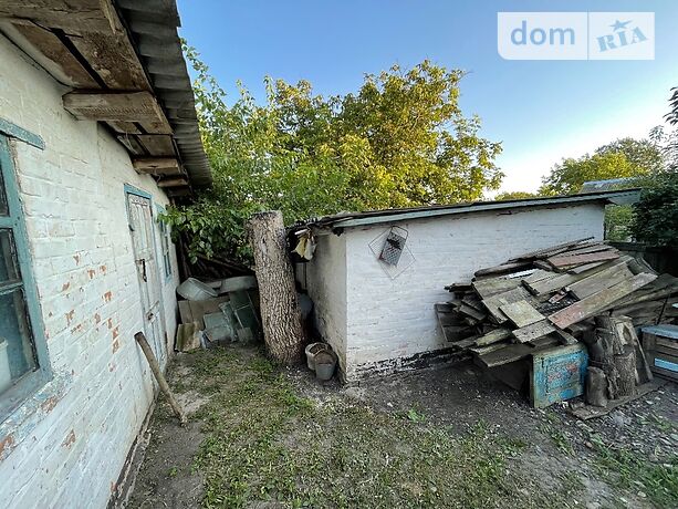 одноповерховий будинок з садом, 70 кв. м, цегла. Продаж в Вільшанській Новоселиці (Київська обл.) фото 1 одноповерховий будинок з садом, 70 кв. м, цегла. Продаж в Вільшанській Новоселиці (Київська обл.) фото 1