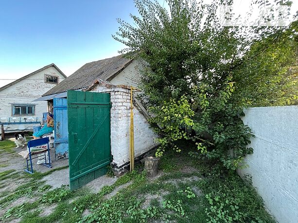 одноповерховий будинок з садом, 70 кв. м, цегла. Продаж в Вільшанській Новоселиці (Київська обл.) фото 1 одноповерховий будинок з садом, 70 кв. м, цегла. Продаж в Вільшанській Новоселиці (Київська обл.) фото 1